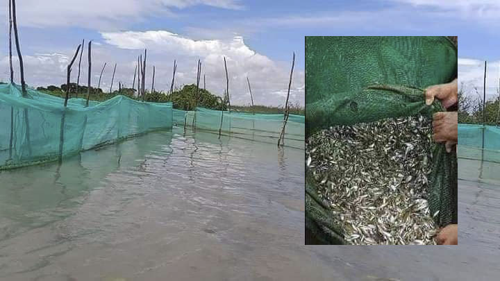 ប្រធានមន្ទីរកសិកម្ម៖ មន្ត្រីរដ្ឋបាលជលផលត្រូវសហការ ជាមួយសមត្ថកិច្ចគ្រប់ស្ថាប័នជាពិសេសអ្នកសារព័ត៌មាន ដើម្បីលុបបំបាត់បទល្មើសនេសាទ ក្នុងរដូវបិទនេសាទ