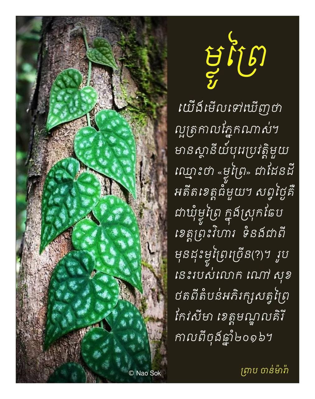 កម្ពុជាមានស្ថានីយ៍បុរេប្រវត្តិមួយឈ្មោះថា “ម្លូព្រៃ”