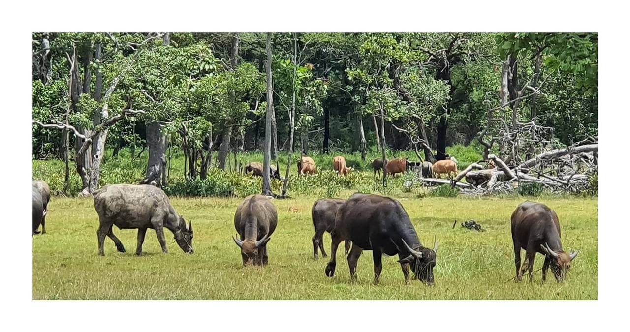 ពេលទំនេរពីការសិក្សា និងការងារ គួរឆ្លៀតទៅទស្សនាឧទ្យានរាជបណ្ឌិត្យសភាកម្ពុជាតេជោសែនឫស្សីត្រឹប ស្ថិតក្នុងឃុំឆែប១ និងឃុំឆែប២ ស្រុកឆែប ខេត្តព្រះវិហារ