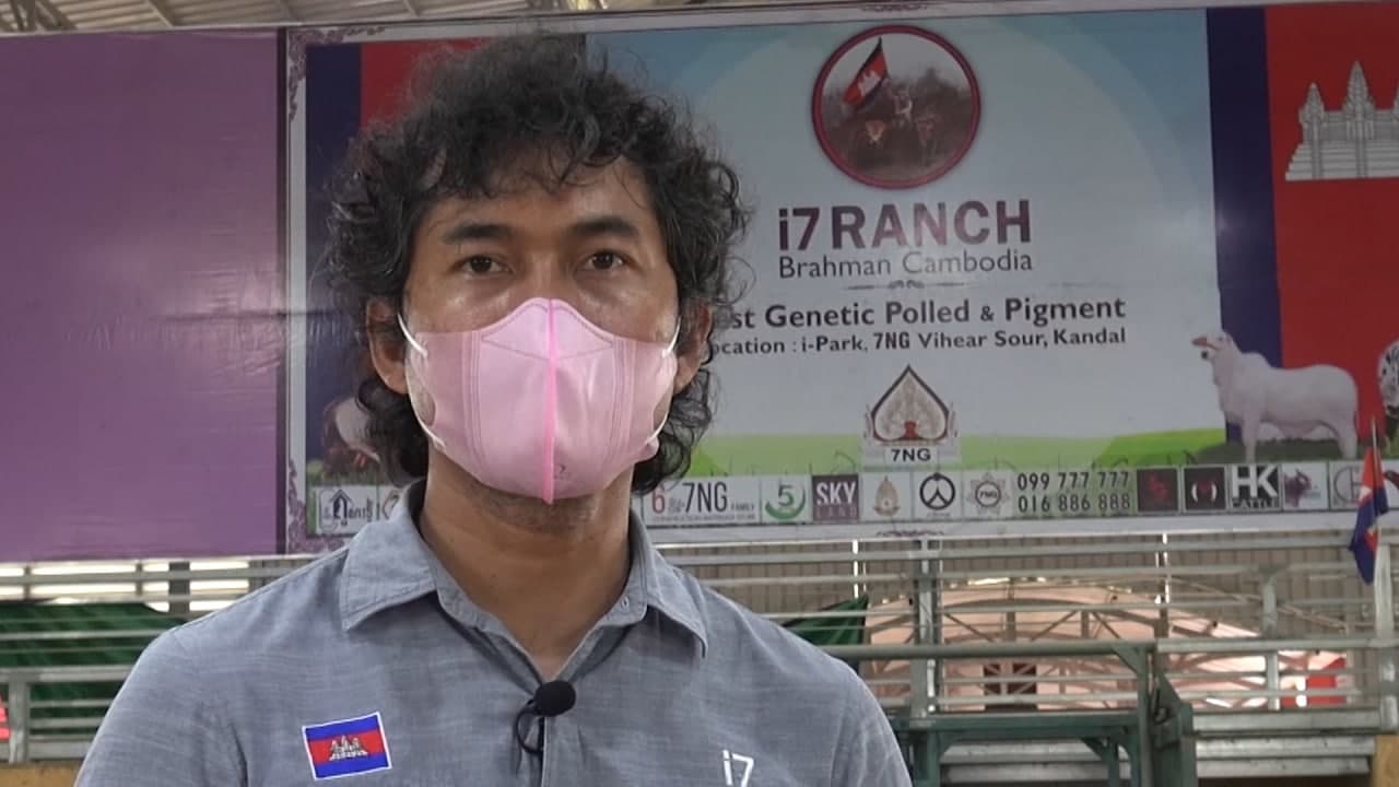 អគ្គនាយក ក្រុមហ៊ុន I 7 បញ្ជាក់ថា ការនាំចូលពូជគោល្អៗពីសហរដ្ឋអាមេរិក គឺចង់ជម្រុញអោយវិស័យចិញ្ចឹមគោអោយកាន់តែរីកចំរើនបន្ថែមទៀត