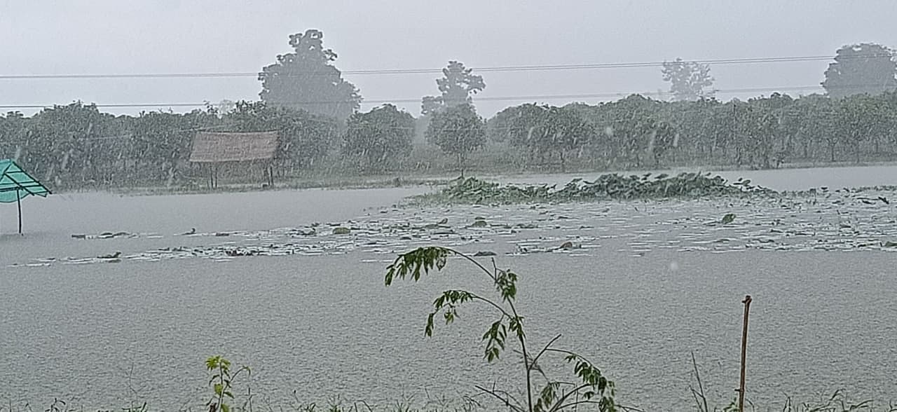 អាជ្ញាធរខេត្តព្រះវិហារ អំពាវនាវដល់ប្រជាពលរដ្ឋ ដែលរស់នៅតាមដងស្ទឹងសែន មាត់ទន្លេមេគង្គ និងតំបន់ងាយរងគ្រោះនានាទៀត ត្រូវបង្កើនការប្រុងប្រយ័ត្នខ្ពស់ គ្រាដែលភ្លៀងនៅតែបន្តធ្លាក់ អាចបង្កជាគ្រោះមហន្តរាយទឹកជំនន់ !