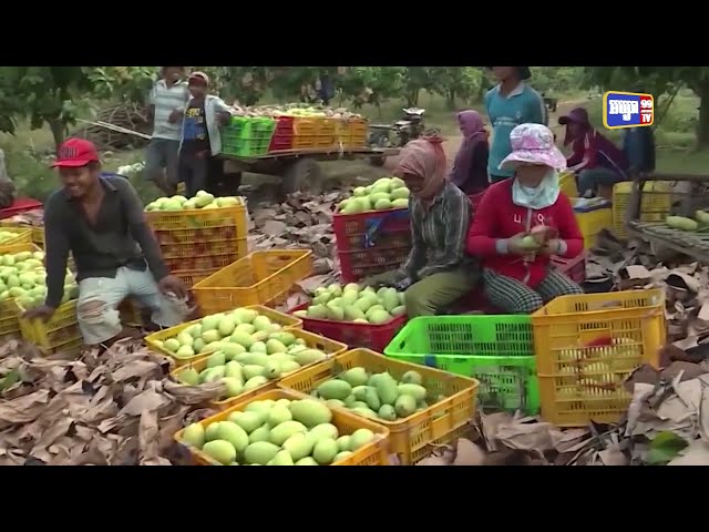 ធនាគារអេឌីប៊ីព្យាករដំណើរវិវត្តន៍សេដ្ឋកិច្ចរបស់កម្ពុជា (Video Inside)