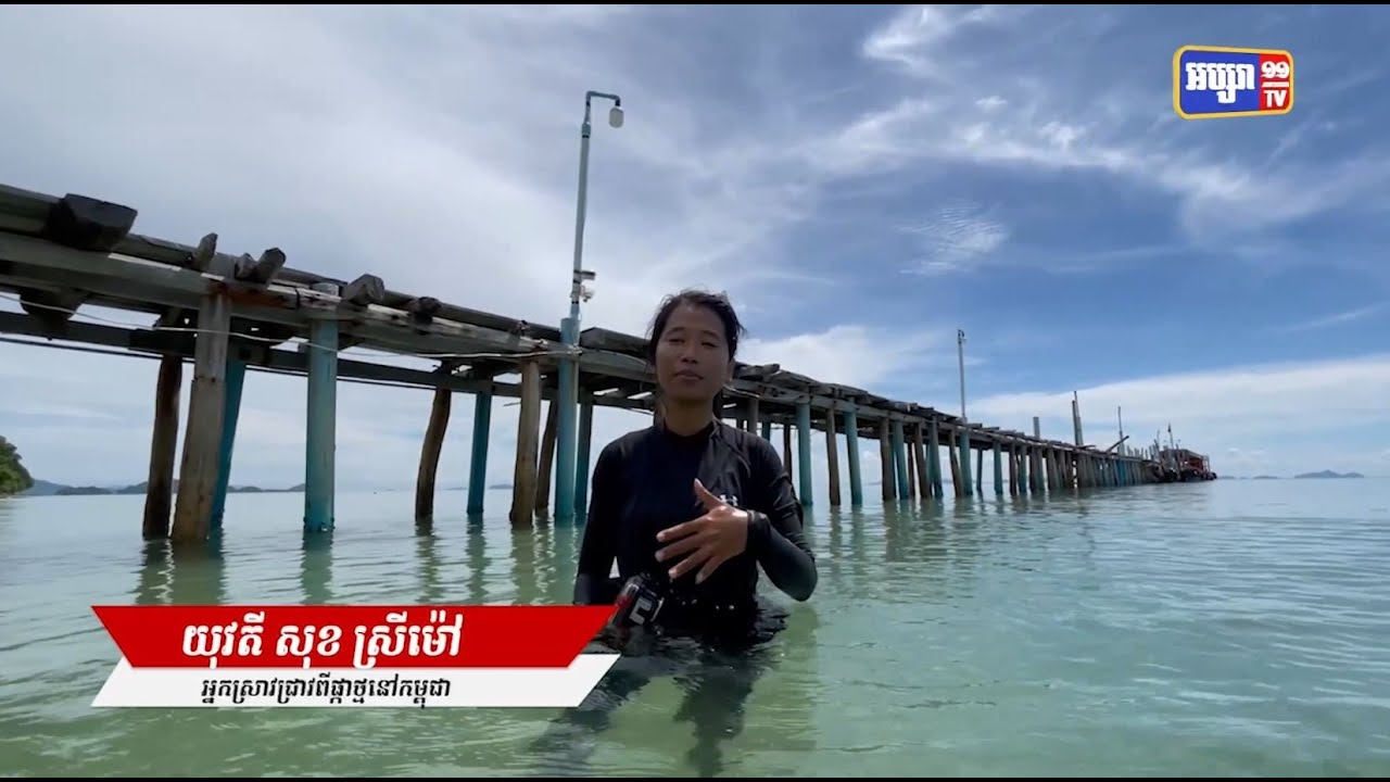 ជីវិតក្រោមបាតសមុទ្ទក្នុងតំបន់កោះសេះនៃប្រទេសកម្ពុជា (Video Inside)