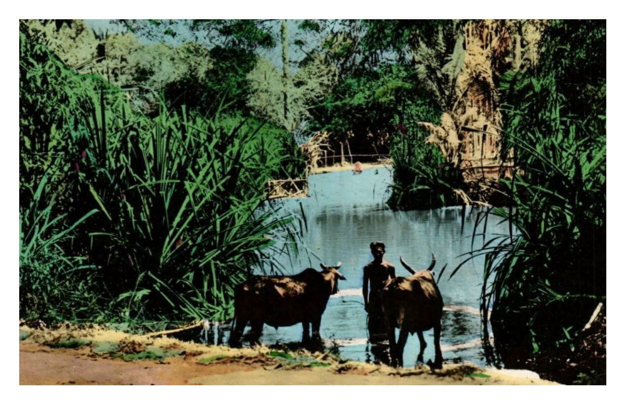 សៀមរាបឆ្នាំ១៩០៤-១៩២០