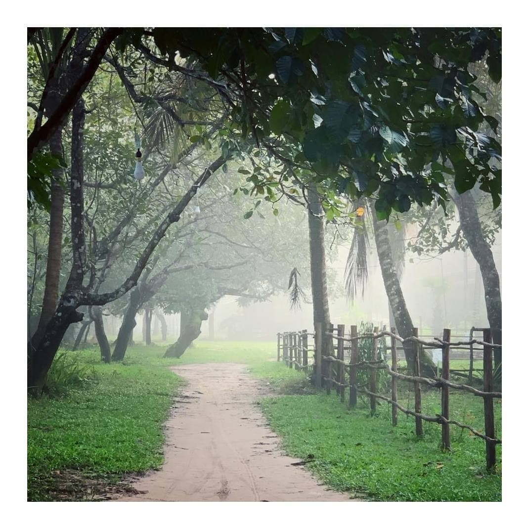 អរុណសួស្តីពីភូមិទឹកស្រែ 😊