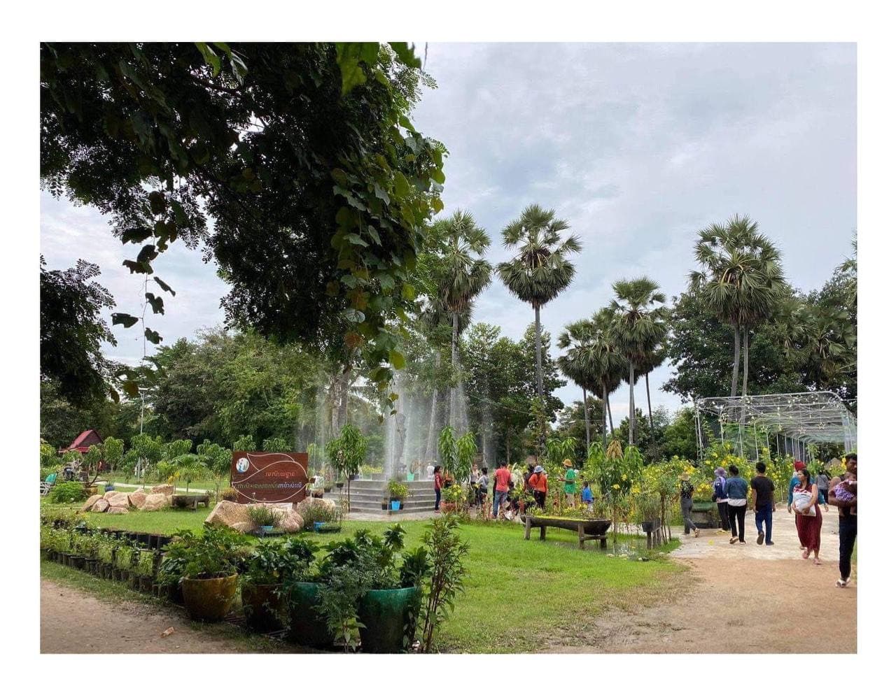 តំបន់កសិ-ទេសចរណ៍កាប៉ាស់លើ ឃុំឈើតុំ ស្រុកក្រគរ ខេត្តពោធិ៍សាត់