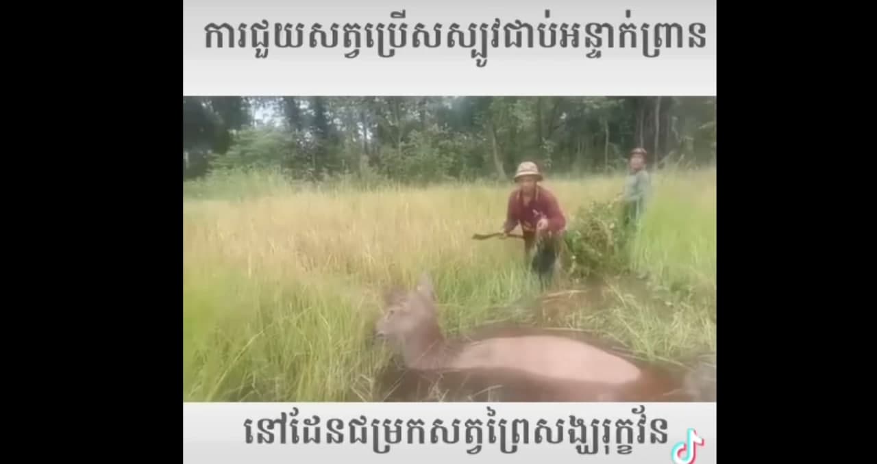 សប្បាយចិត្តណាស់ 🥰