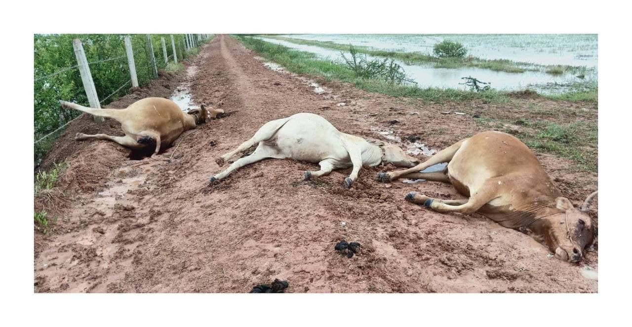 គ្គលអ្នករំលោភយក អាងទឹកសាធារណៈរបស់រដ្ឋទៅធ្វើជារបស់ខ្លួន រួចប្រើថ្នាំគីមីបំពុលគោរបស់អ្នកស្រុកដែលផឹកទឹកអាងឱ្យស្លាប់ គឺជាជនឧក្រិដ្ឋ