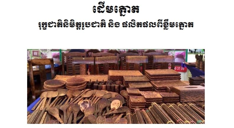 អត្ថបទស្រាវជ្រាវស្តីពី ដើមត្នោត៖ រុក្ខជាតិនិមិត្តរូបជាតិ និងផលិតផលពីខ្លឹមត្នោត