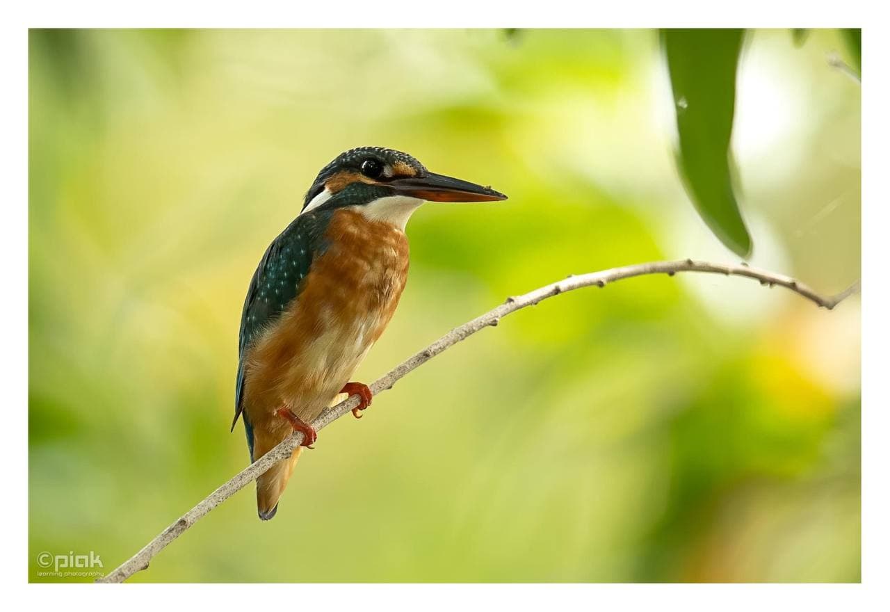 កំលោះសមសួន តុបតែងខ្លួន ទៅចាប់មច្ឆា 😎