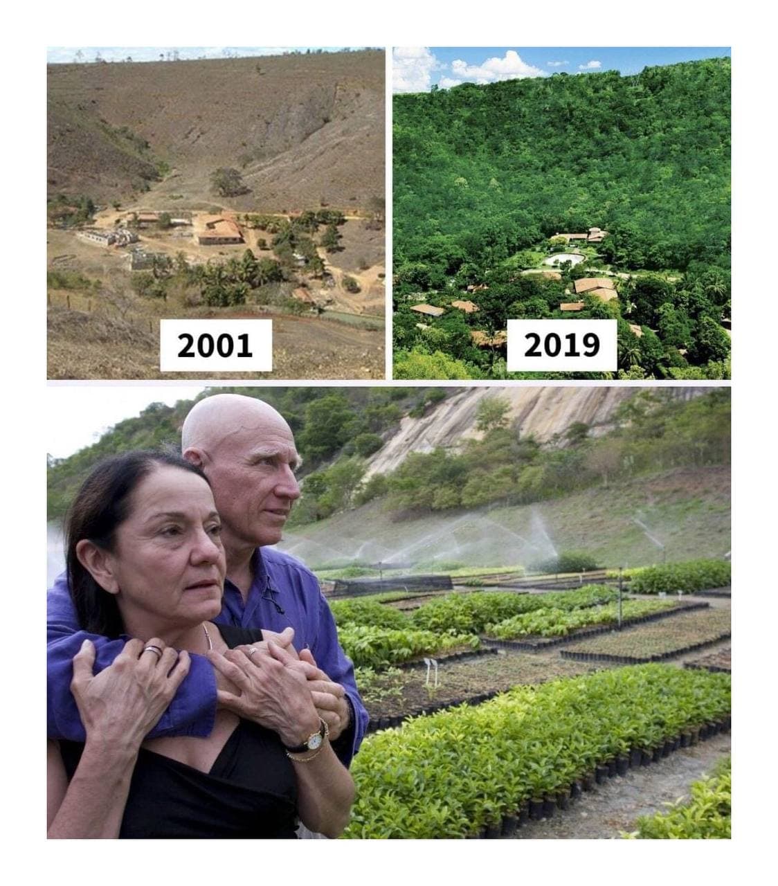 គូស្នេហ៍មួយគូ Sebastião Salgado នៅប្រទេសប្រេស៊ីលបានដាំដើមឈើចំនួន ២លានដើមក្នុងរយៈពេល ២០ឆ្នាំ ដើម្បីបង្កើតព្រៃឈើឡើងវិញ🌳🌳