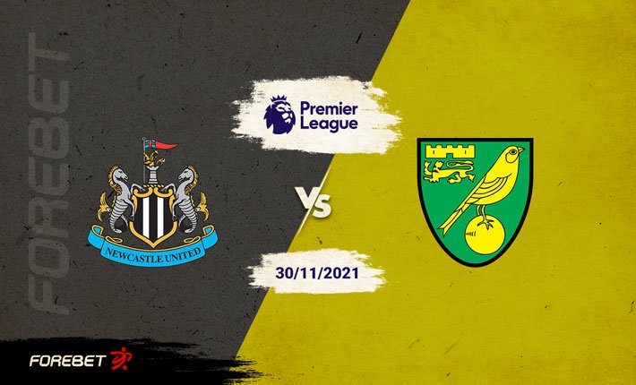 Newcastle ត្រូវការឈ្នះ២ប្រកួត ដើម្បីគេចពីបាតតារាងនៅ Premier League