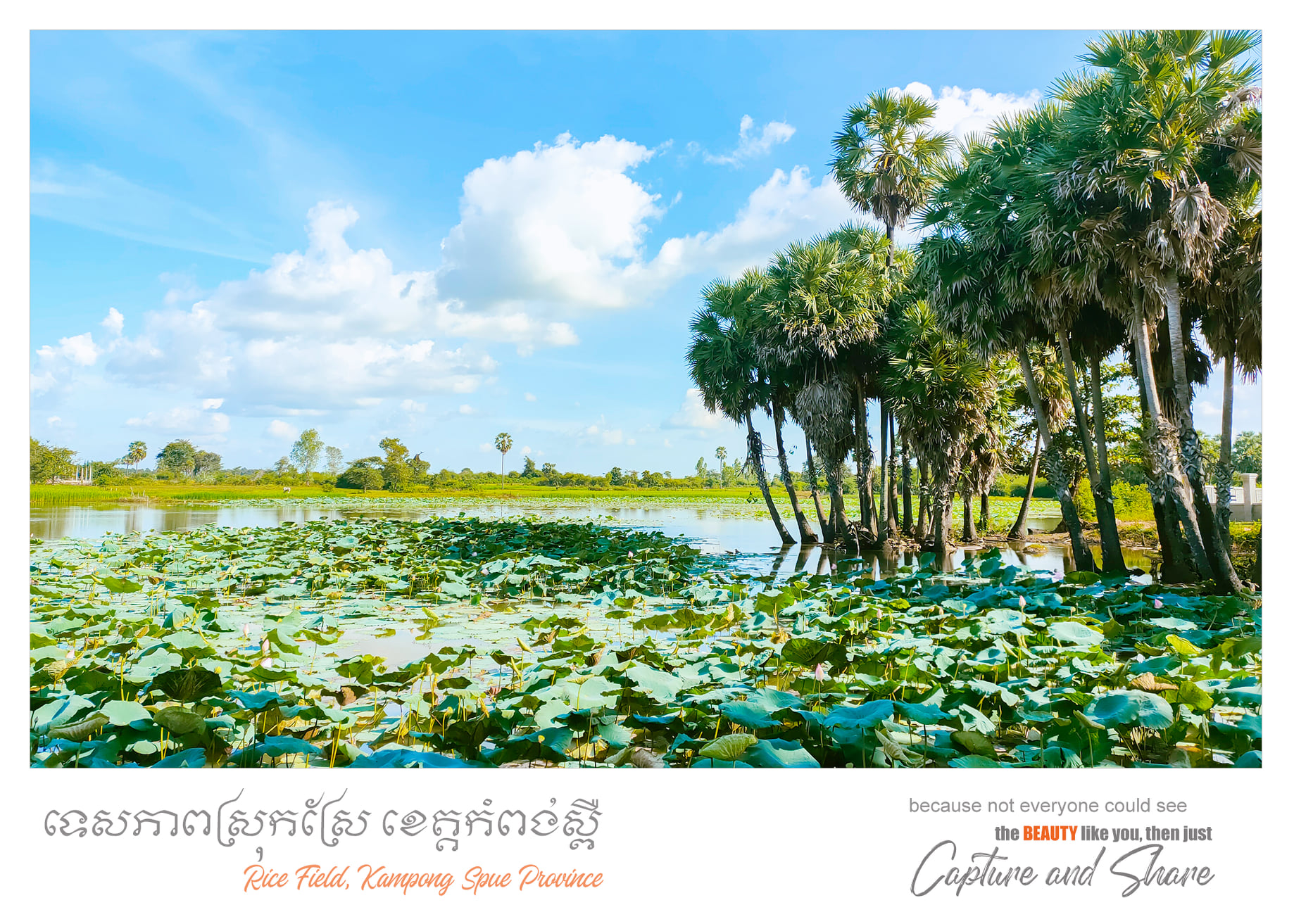 ទេសភាពតាមដងផ្លូវជិះកង់ទៅ អំពែភ្នំ និងទំនប់រកា