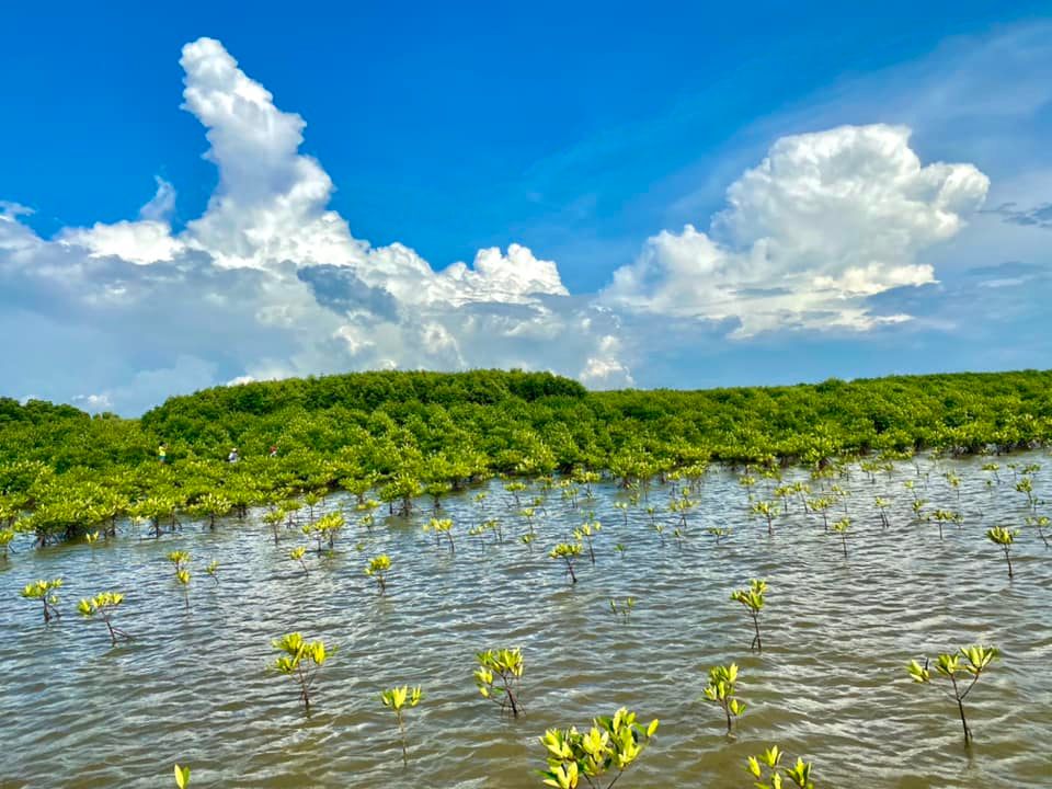 សហគមន៍នេសាទត្រពាំងសង្កែ