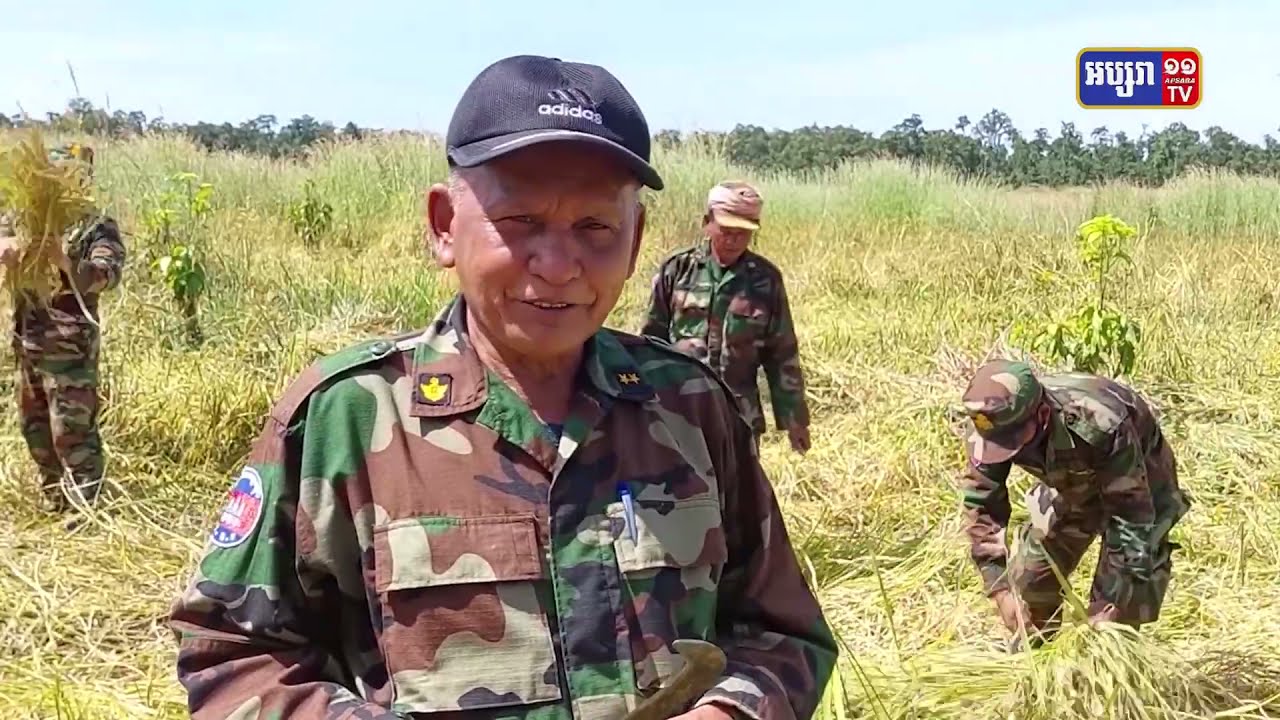 សឹករងខេត្តស្ទឹងត្រែង ពង្រាយកម្លាំងចុះជួយច្រូតស្រូវពលរដ្ឋ (Video Inside)