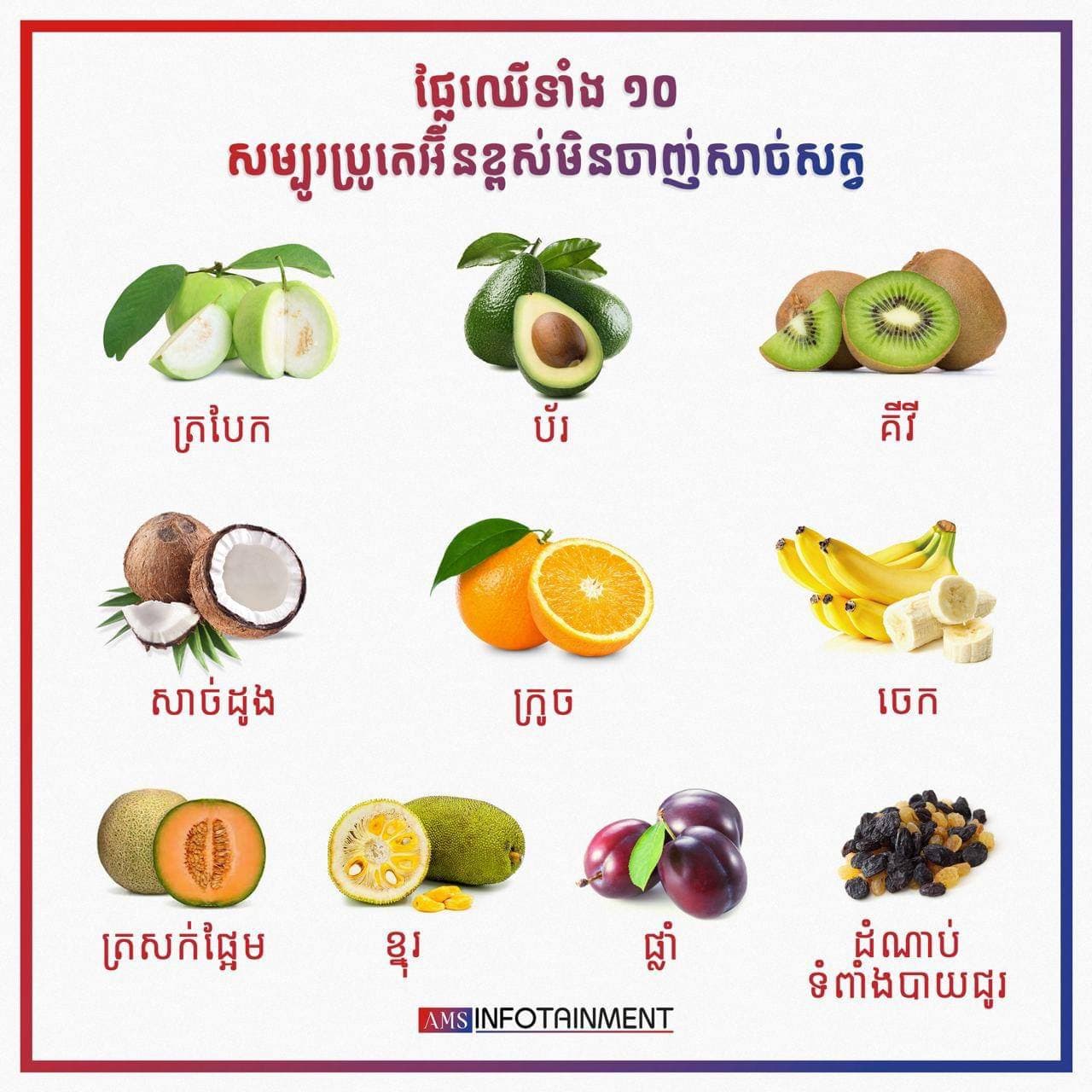 👉🏽 ប្រូតេអ៊ីនជួសជុលសាច់ដុំ ឆ្អឹង និងបង្កើតអរម៉ូន និងអង់ស៊ីម