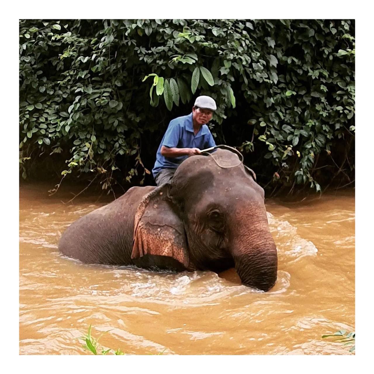 រតនគិរី 🇰🇭
