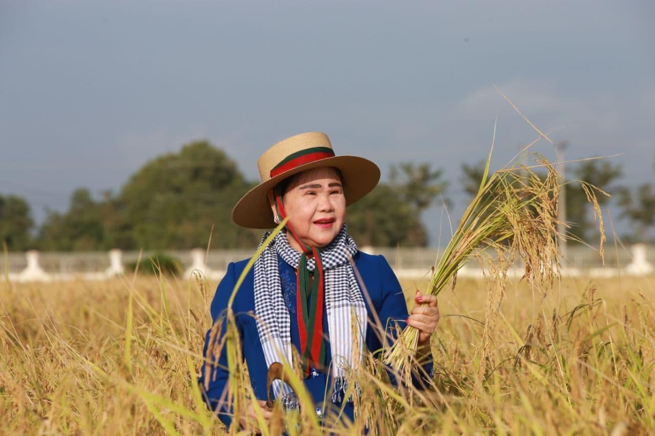 សម្ដេចកិត្ដិព្រឹទ្ធបណ្ឌិត ប៊ុន រ៉ានី ហ៊ុនសែន អញ្ជើញចុះច្រូតកាត់ប្រមូលផលស្រូវ នៅស្រុកបាទី ខេត្ដតាកែវ