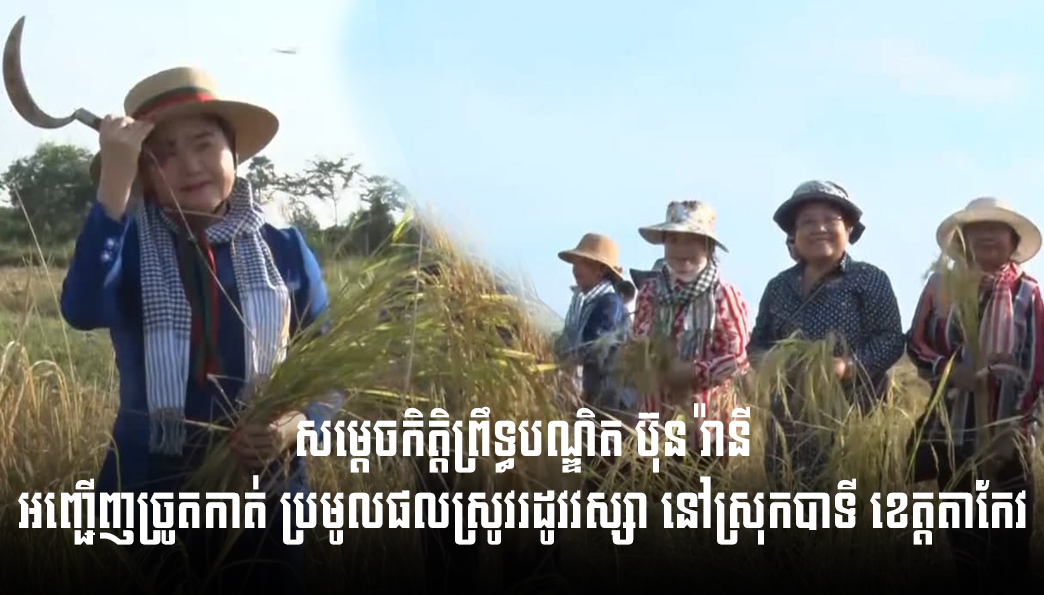 សម្តេចកិត្តិព្រឹទ្ធបណ្ឌិត ប៊ុន រ៉ានី ហ៊ុនសែន អញ្ជើញច្រូតកាត់ប្រមូលផលស្រូវរដូវវស្សា នៅស្រុកបាទី ខេត្តតាកែវ
