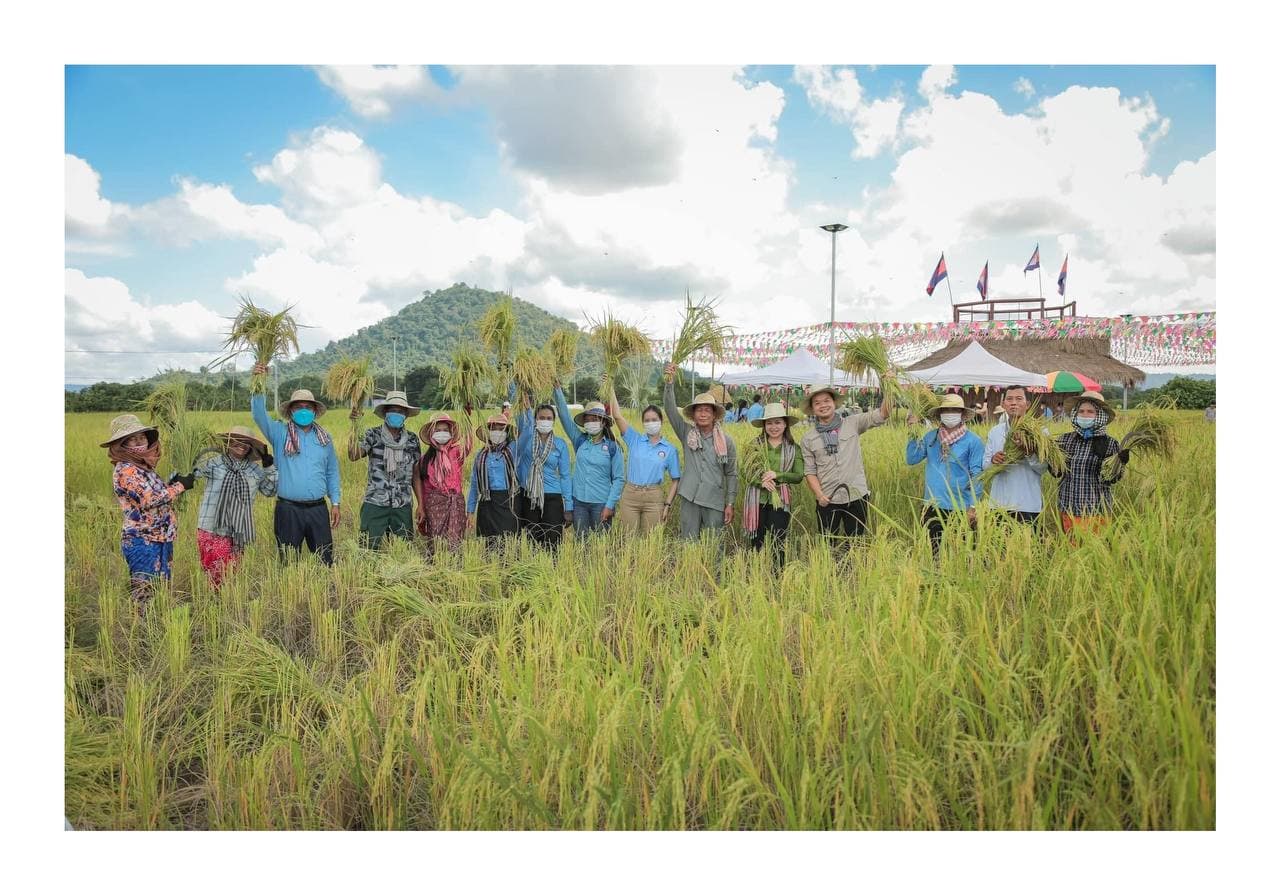 កត្តិកធ្លាក់ខ្យល់ប្រមូលផលស្រូវ 🌾