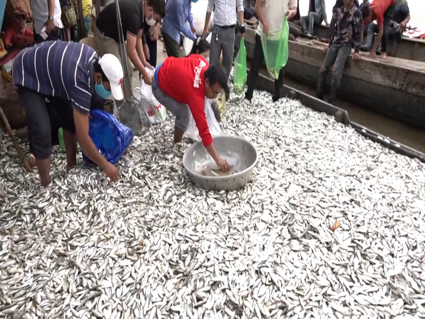រដ្ឋបាលជលផល អំពាវនាវដល់ប្រជាពលរដ្ឋ ធ្វើប្រហុក ផ្អក ត្រីឆ្អើរ សូមរួសរាន់មកទិញត្រីនៅតាមផ្សារនានាក្នុងខេត្តកណ្ដាល និងភ្នំពេញ