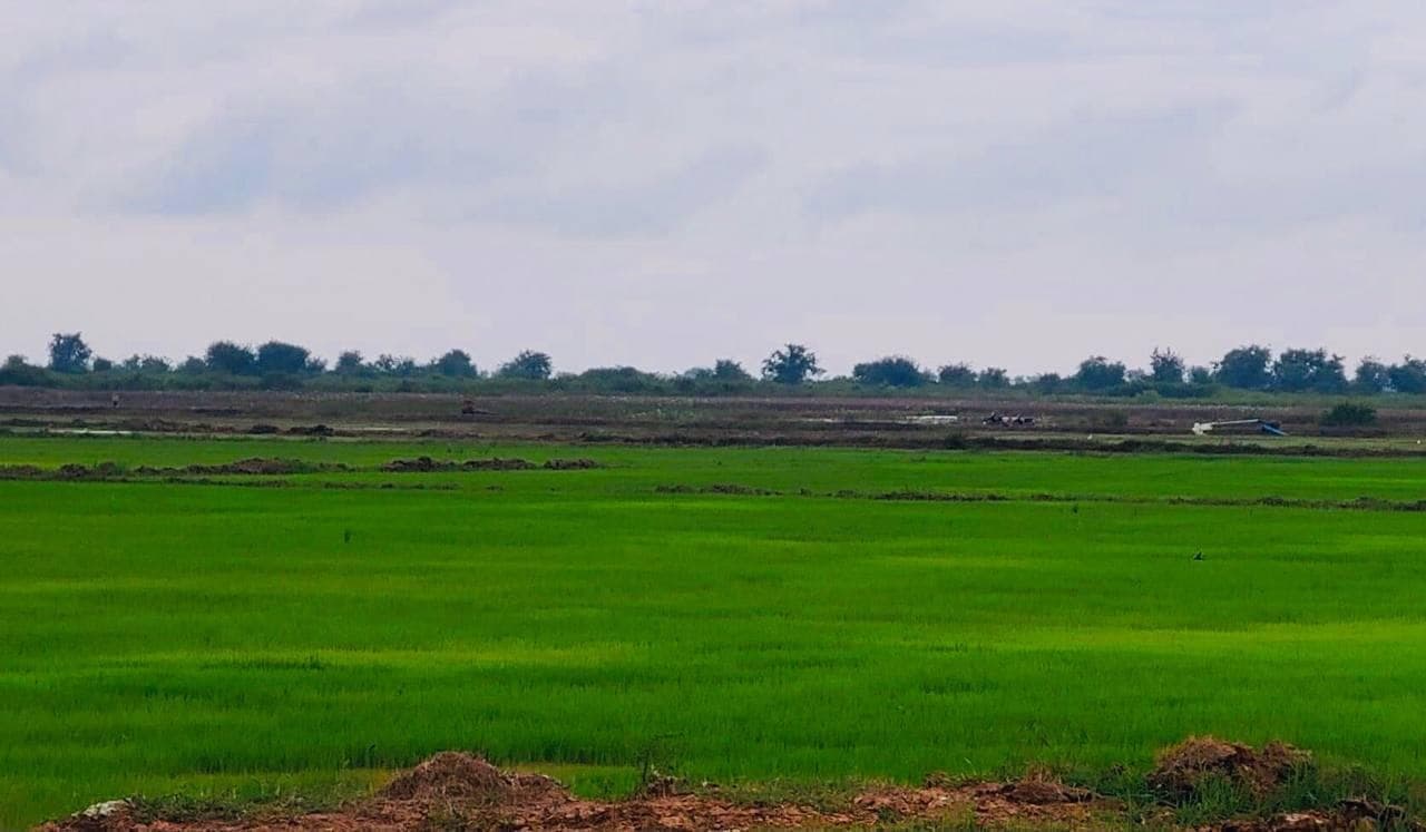 ស្នងការរងកំពង់ឆ្នាំងម្នាក់ ប្រគល់ដីជាង ៦០០ហិកតា មកឱ្យរដ្ឋវិញ!