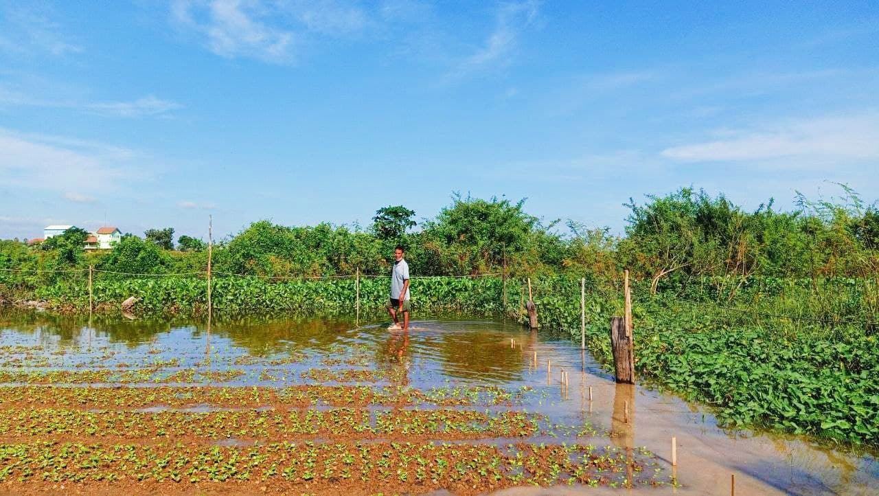 ក្រុមហ៊ុនមួយចាក់ដីបិទផ្លូវទឹកបណ្ដាលលិចដំណាំរបស់ពលរដ្ឋ ឥឡូវត្រូវបានអាជ្ញាធរ អន្តរាគមន៍ជួយកាយប្រឡាយបង្ហូរទឹកចេញរួចហើយ