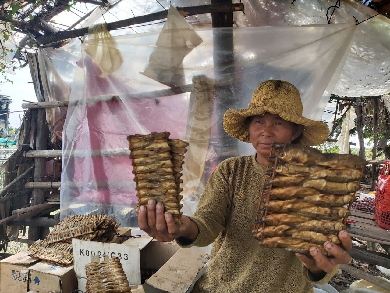 ប្រជាពលរដ្ឋរស់នៅតាមដងស្ទឹងសែន បង្កើនជីវភាពគ្រួសារជាមួយមុខរបរផលិតត្រីឆ្អើរ
