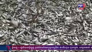 កម្ពុជា ទទួលបានចំណូលជាង ១៧០០លានដុល្លារ ពីផលនេសាទ​ទឹកសាប សមុទ្រនិងវារីវប្បកម្ម ក្នុងឆ្នាំ២០២១