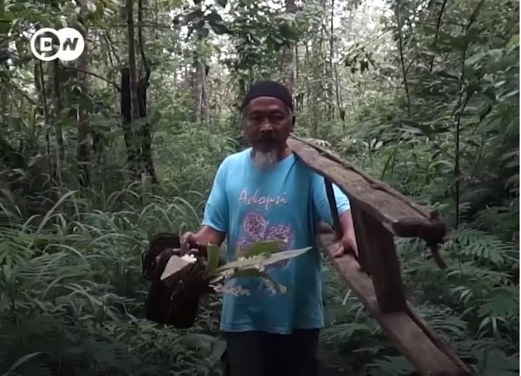 វីរបុរសសង្រ្គោះផ្កាអ័រគីដេ 🌸