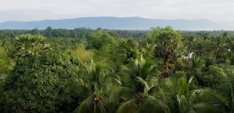 ភូមិទឹកស្រែក្បែរស្ទឹងពពក ស្ថិតនៅស្រុកស្រែអំបិល ខេត្តកោះកុង 🇰🇭