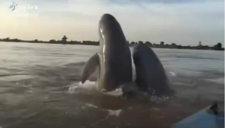 ភ័ព្វសំណាង ទេវតាប្រទាន!