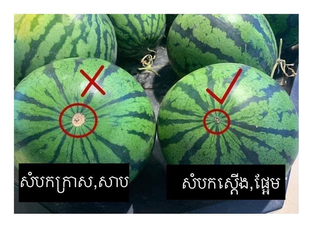 រកអាផ្អែម ហើយមុត royal