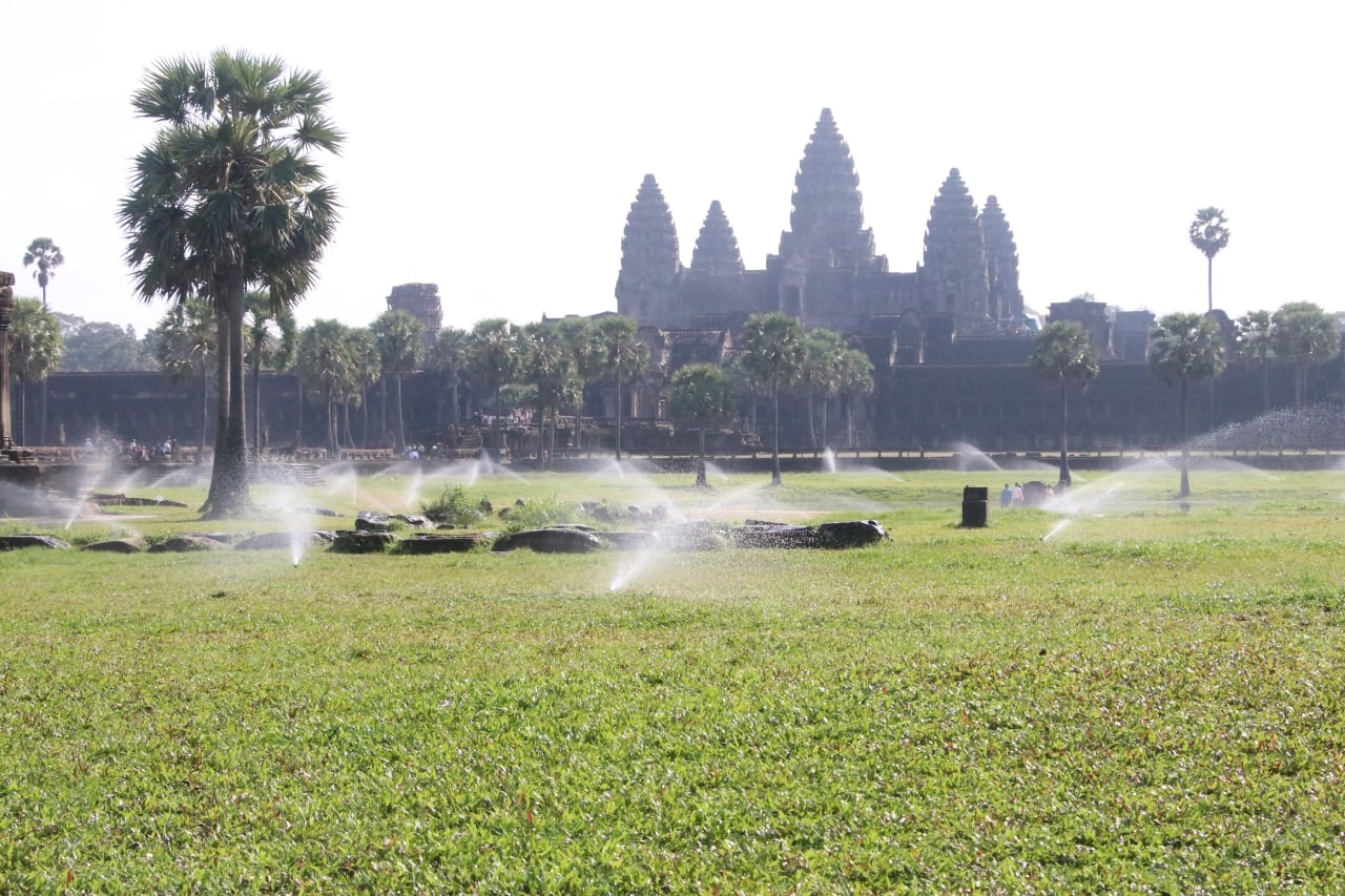 វាលស្មៅខៀវខ្ចីជុំវិញប្រាសាទអង្គរវត្ត ត្រូវទទួលការថែទាំជាប្រចាំដោយអាជ្ញាធរជាតិអប្សរា