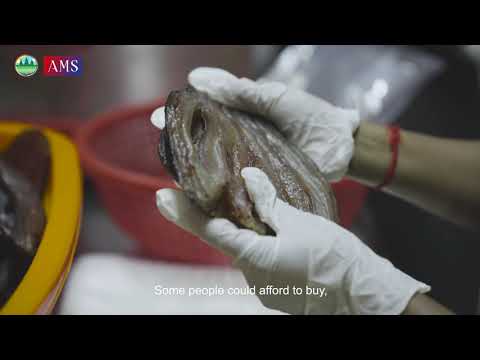 Phumi Knhom Ep09: សិប្បកម្មត្រីងៀត