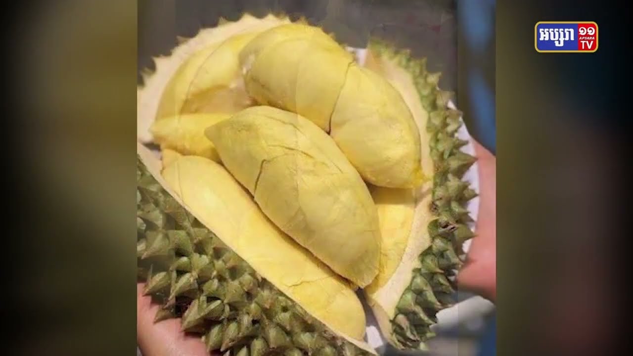 កម្ពុជាចង់ជំរុញផ្លែទុរេនចូលទីផ្សារប្រទេសចិន (Video Inside)