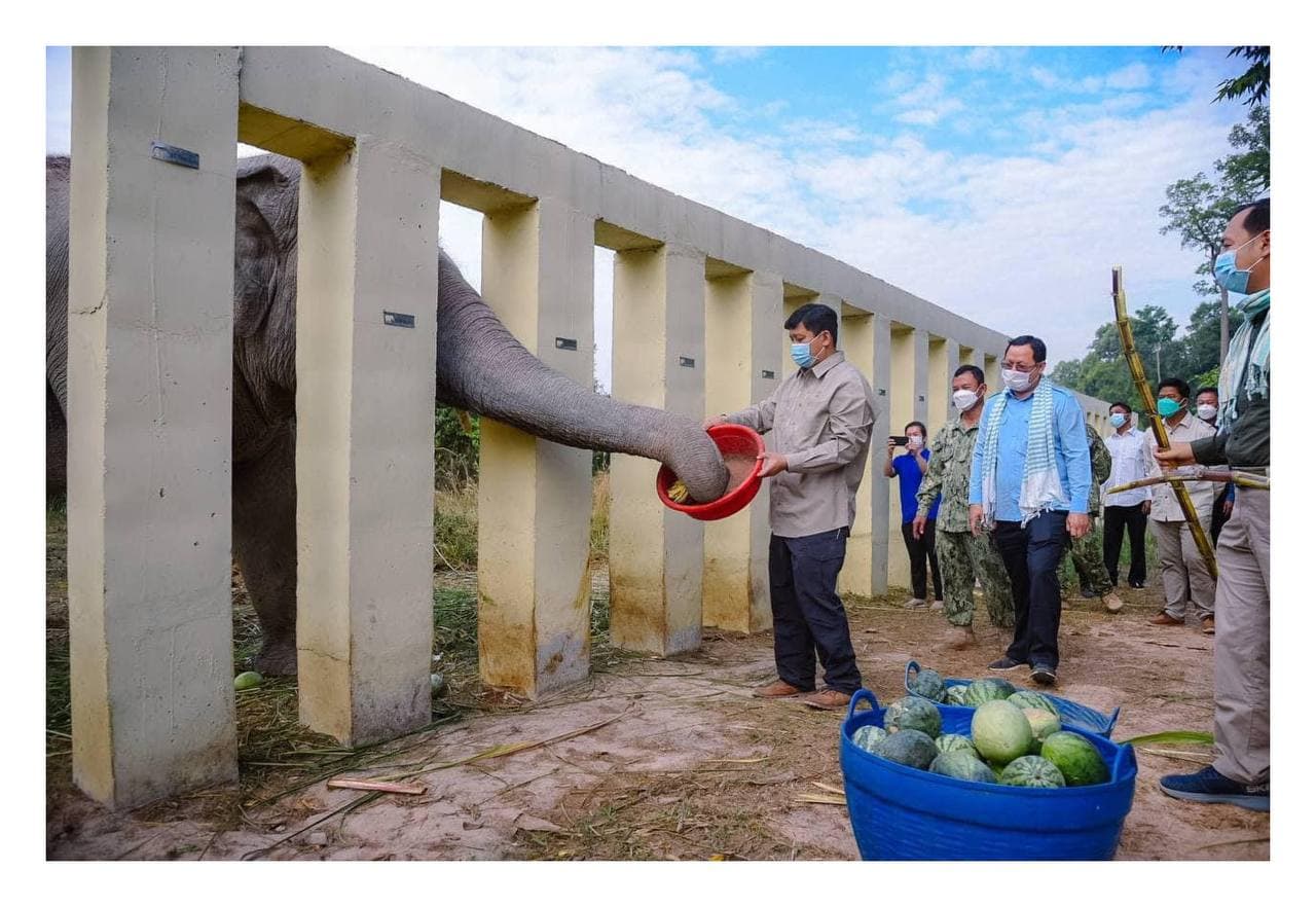 រដ្ឋមន្ត្រីបរិស្ថាន សាយ សំអាល់ និងប្រតិភូបានចុះពិនិត្យពីស្ថានភាពដំរីខាវ៉ាន់ ដែលគេស្គាល់ថាជាដំរីដ៏ឯកោបំផុតនៅលើលោក