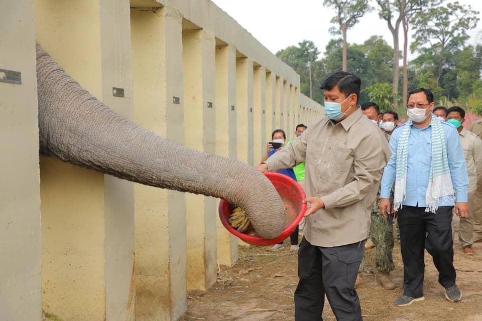 ឯកឧត្តម សាយ សំអាល់ ចុះពិនិត្យពីស្ថានភាពសត្វដំរីឈ្មោះ ខាវ៉ាន់ ដែលគេស្គាល់ថា ជាដំរីដ៏ឯកោបំផុតនៅលើលោក ក្រោយពីទទួលបានជម្រកថ្មីនៅក្នុងតំបន់អភិរក្សរបស់កម្ពុជា