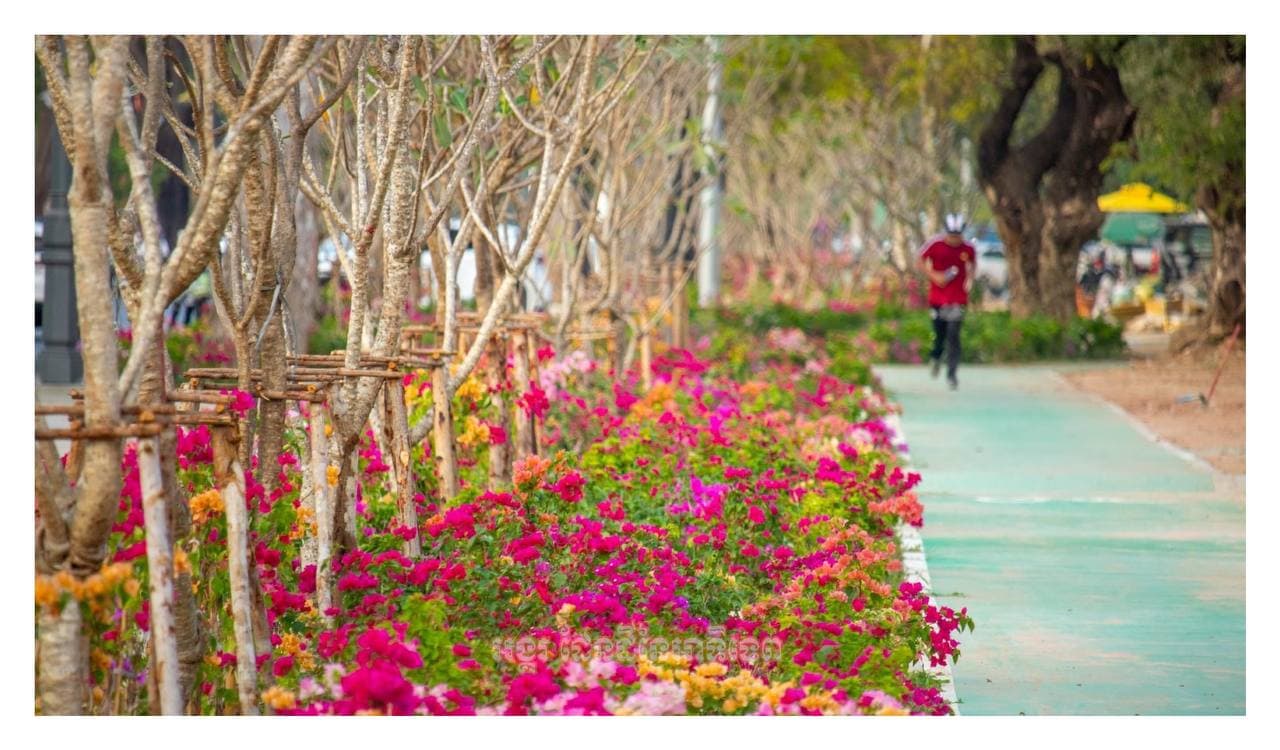 សៀមរាប 🇰🇭🥰
