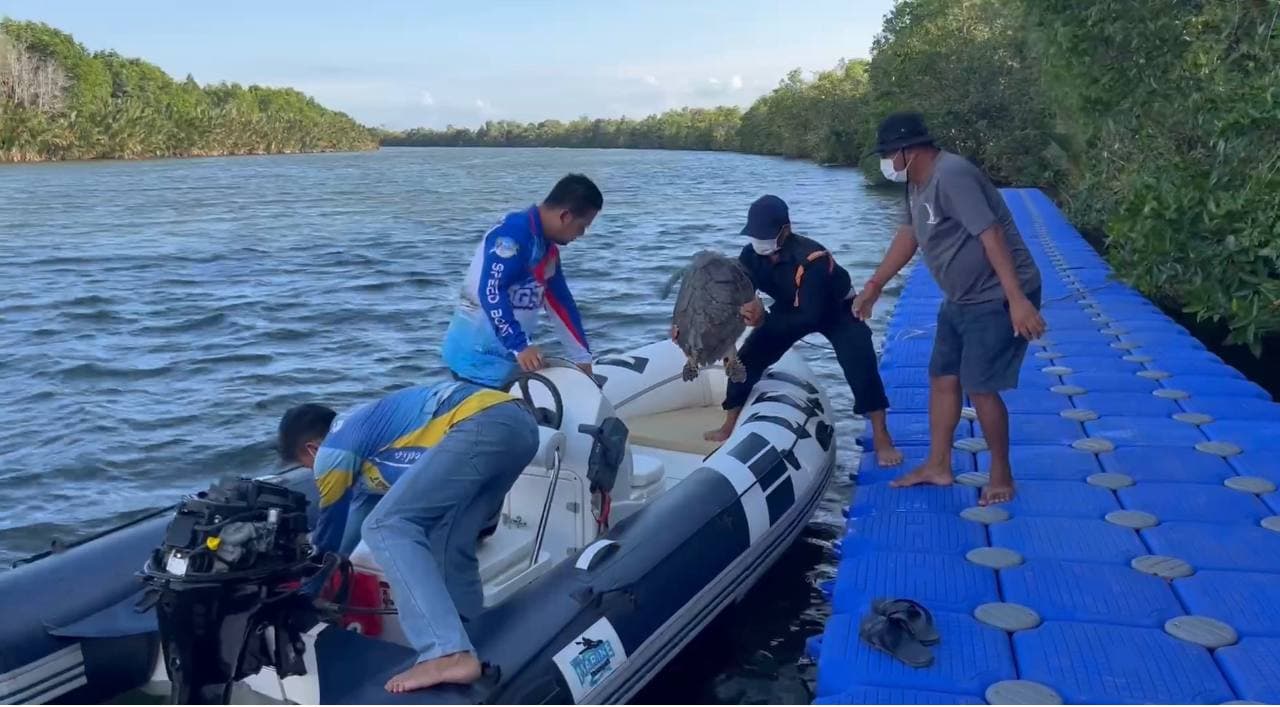 លោកឧកញ៉ា ទៀ វិចិត្រ សមាជិកក្រុមការងារយុវជនគណបក្សប្រជាជនកម្ពុជា ខេត្តព្រះសីហនុ នាំយកសត្វអណ្តើកសមុទ្រ(ក្រាស់)មួយក្បាលទៀត ទៅព្រលែងក្នុងព្រែកទឹកប្រៃធម្មជាតិវិញ