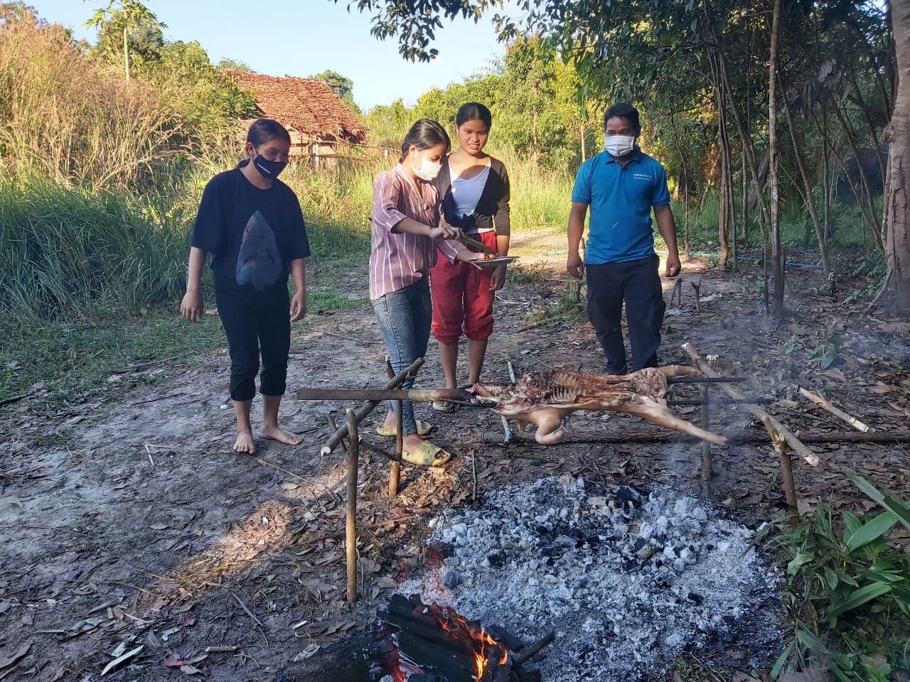 ជ្រូកកណ្តុរចិញ្ចឹមបែបធម្មជាតិ មានរស់ជាតិឆ្ងាញ់ជាទីល្បីឈ្មោះនៅភ្នំគូលែន