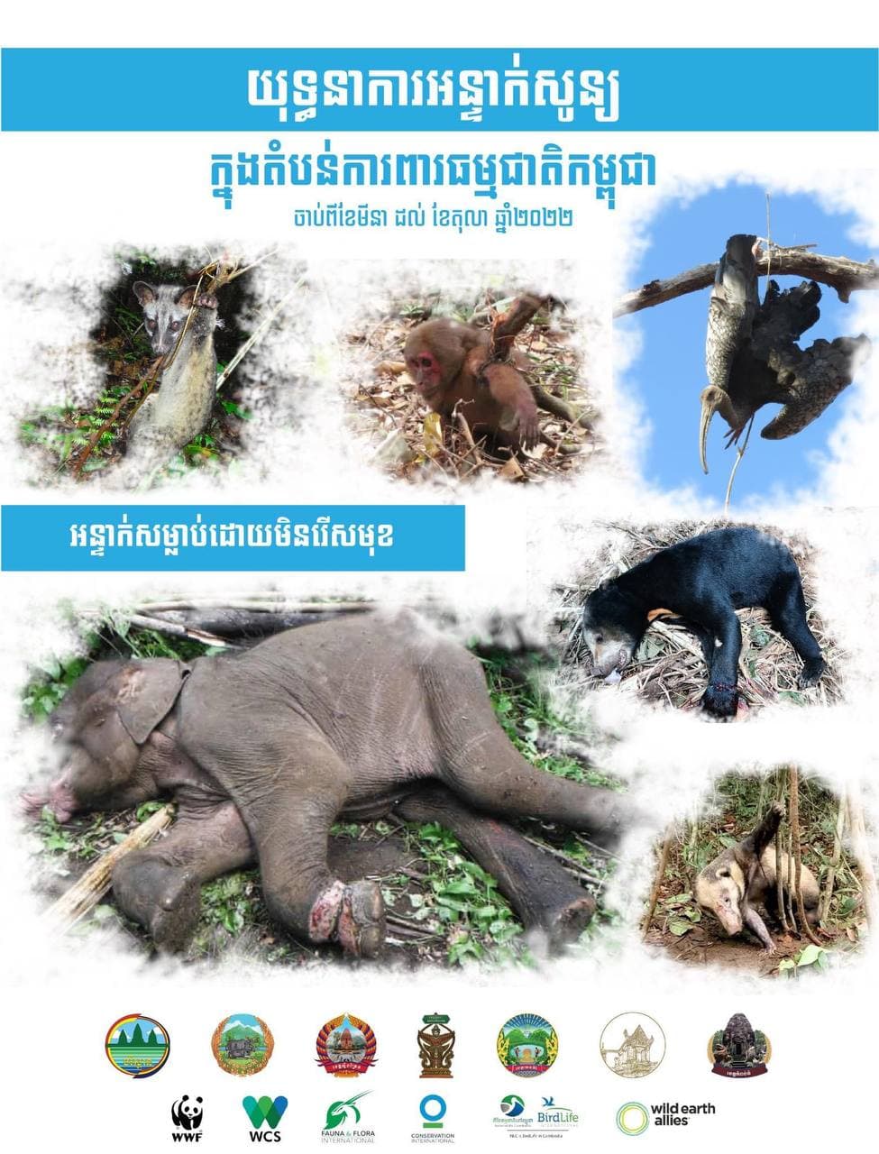 “យុទ្ធនាការអន្ទាក់សូន្យនៅក្នុងតំបន់ការពារធម្មជាតិកម្ពុជា” ផ្តួចផ្តើម និងដឹកនាំដោយក្រសួងបរិស្ថាន ចាប់ផ្តើមជាផ្លូវការនៅថ្ងៃទី៣ មីនា ២០២២