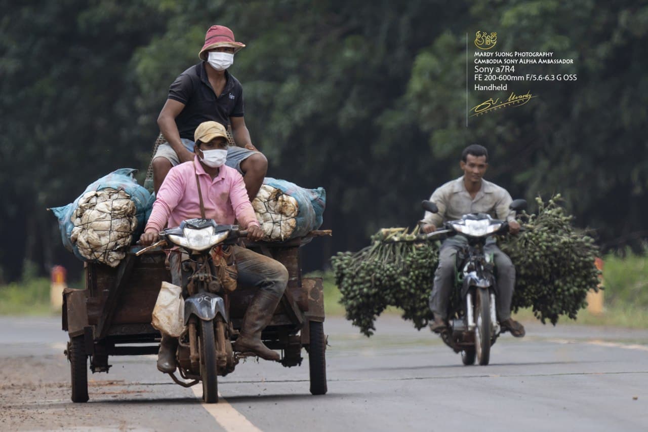រូបភាពប្រចាំថ្ងៃ ដោយ៖ សួង ម៉ារឌី