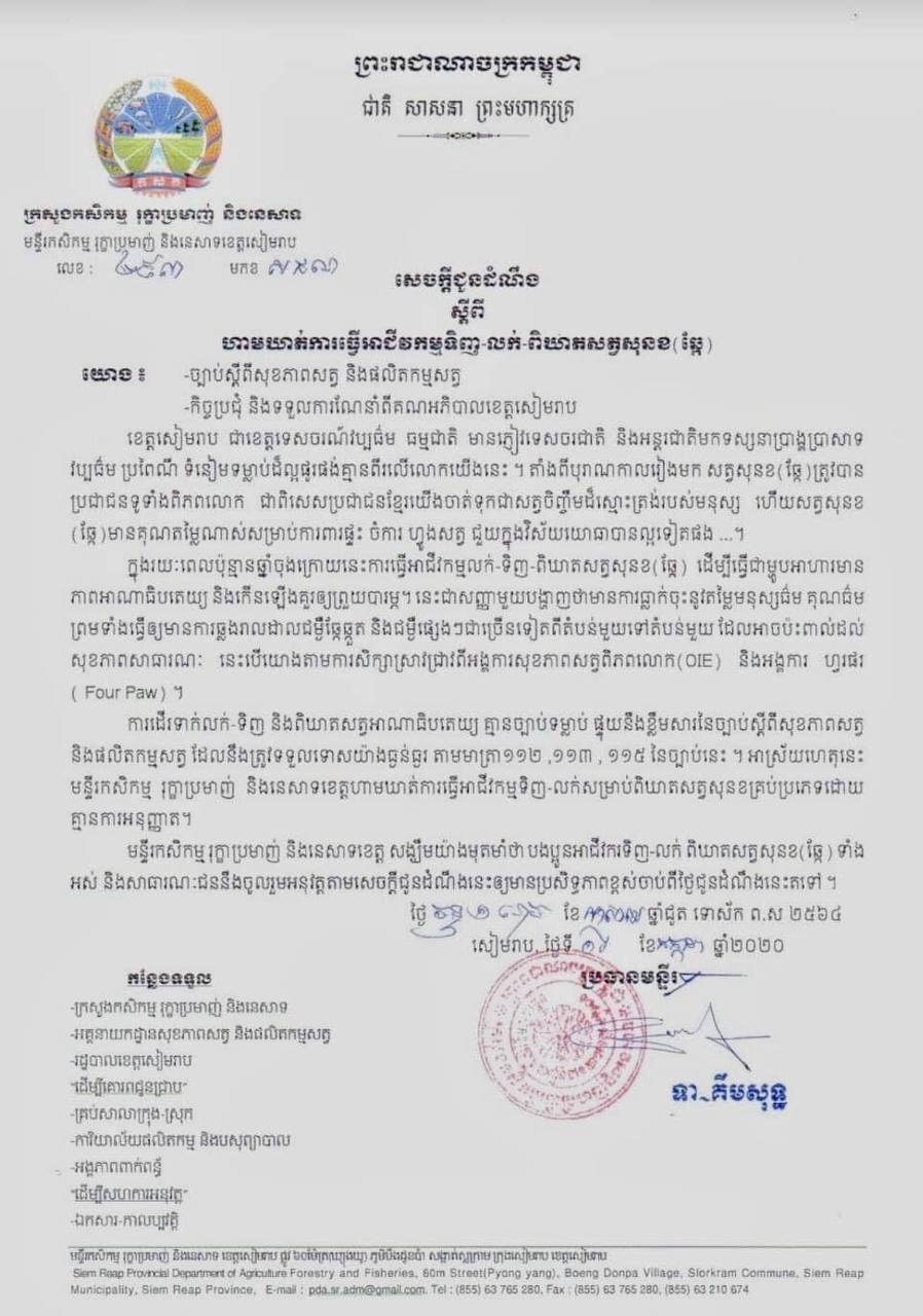 សៀមរាប  ជាខេត្តដំបូងគេដែលហាមឃាត់ការទិញ-លក់-ពិឃាតសត្វឆ្កែ 👏