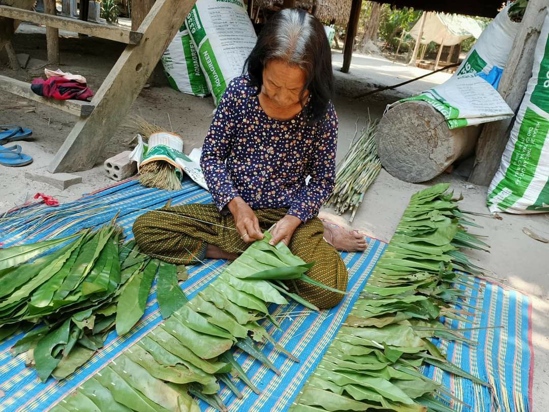 ប្រជាសហគមន៍ដេរស្លឹក ឃុនមា សម្រាប់ប្រក់ដំបូល និងធ្វើជញ្ជាំងផ្ទះនៅឃុំខ្នងភ្នំ ខេត្តសៀមរាប ដើម្បីរកប្រាក់ចំណូលផ្គត់ផ្គង់គ្រួសារ