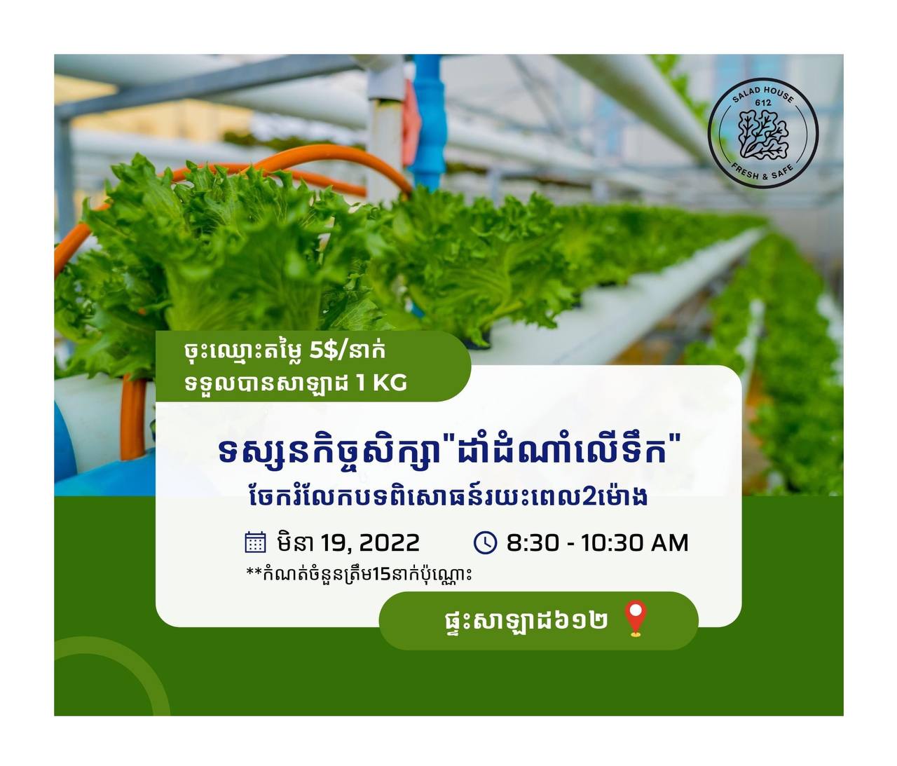 ចំណាយត្រឹមតែ ៥ដុល្លារ នឹងទទួលបានសាឡាដ ១គីឡូ និងការធ្វើដំណើរទស្សនកិច្ចដាំដុះដំណាំលើទឹក