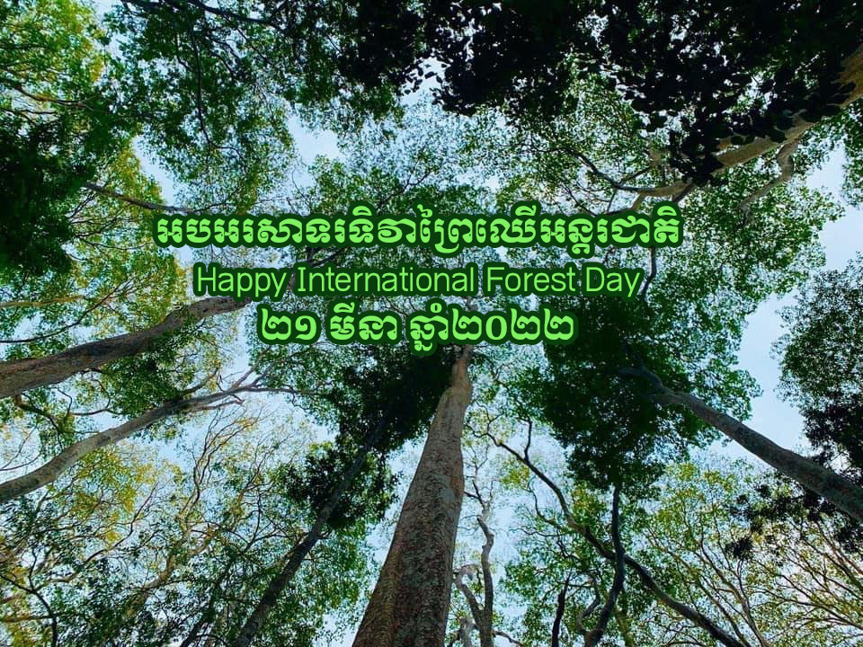 អបអរសាទរទិវាព្រៃឈើពិភពលោក Happy World Forest Day ២១ មីនា ឆ្នាំ២០២២