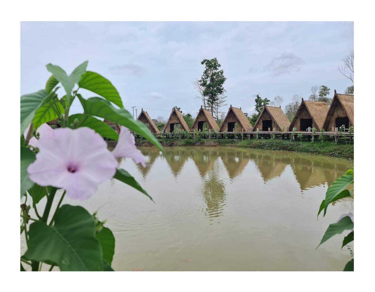 និស្ស័យស្នេហ៍សេសាន ទីឋានឧត្តម 🙈😍