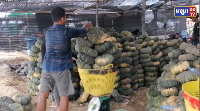 បងប្អូនប្រជាកសិកររីករាយសប្បាយចិត្ត ខណៈការដាំដុះដំណាំផ្លែល្ពៅ និងផ្លែត្រសក់ស្រូវប្រមូលផលលក់ចេញមានតម្លៃខ្ពស់ជាងឆ្នាំមុន