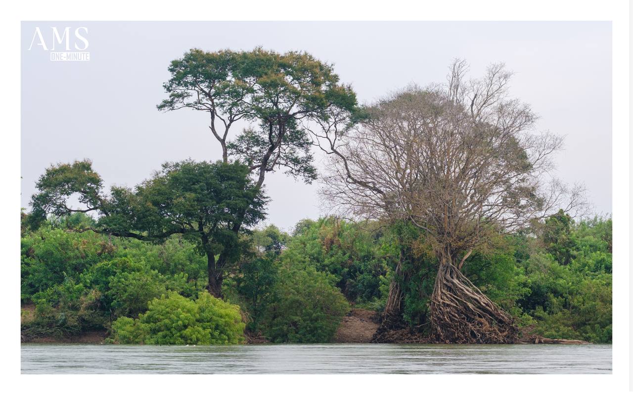 ព្រៃលិចទឹកតំបន់រ៉ាមសារ ខេត្តស្ទឹងត្រែង